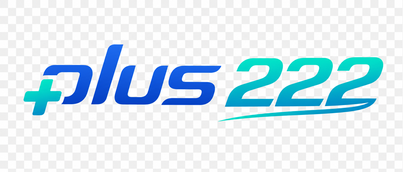 Plus 222 Logo